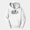 PC Youth Fan Favorite Hooded Sweatshirt Thumbnail