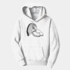 PC Youth Fan Favorite Hooded Sweatshirt Thumbnail