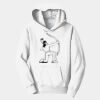 PC Youth Fan Favorite Hooded Sweatshirt Thumbnail