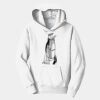 PC Youth Fan Favorite Hooded Sweatshirt Thumbnail