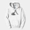 PC Youth Fan Favorite Hooded Sweatshirt Thumbnail