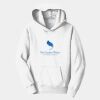PC Youth Fan Favorite Hooded Sweatshirt Thumbnail