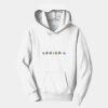 PC Youth Fan Favorite Hooded Sweatshirt Thumbnail