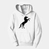 PC Youth Fan Favorite Hooded Sweatshirt Thumbnail
