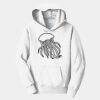 PC Youth Fan Favorite Hooded Sweatshirt Thumbnail