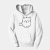 PC Youth Fan Favorite Hooded Sweatshirt Thumbnail