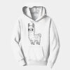 PC Youth Fan Favorite Hooded Sweatshirt Thumbnail