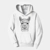 PC Youth Fan Favorite Hooded Sweatshirt Thumbnail