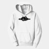 PC Youth Fan Favorite Hooded Sweatshirt Thumbnail