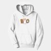 PC Youth Fan Favorite Hooded Sweatshirt Thumbnail