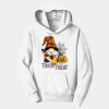 PC Youth Fan Favorite Hooded Sweatshirt Thumbnail