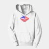 PC Youth Fan Favorite Hooded Sweatshirt Thumbnail