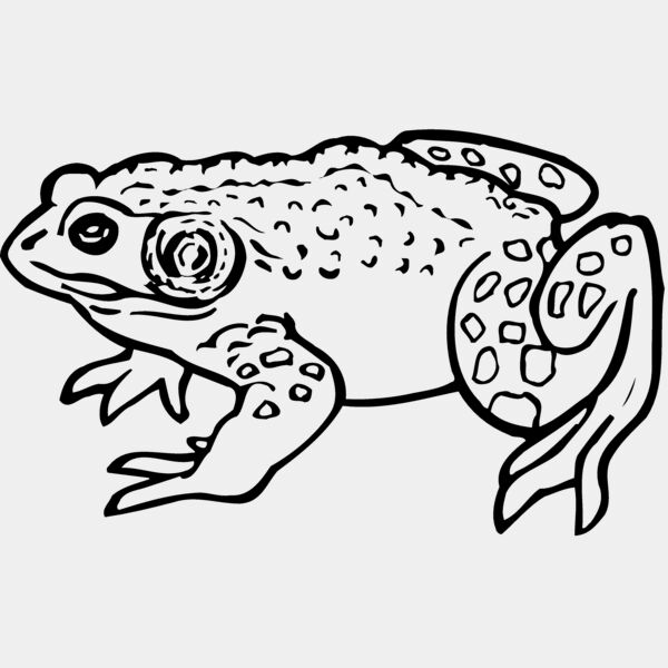 Amphibians Thumbnail
